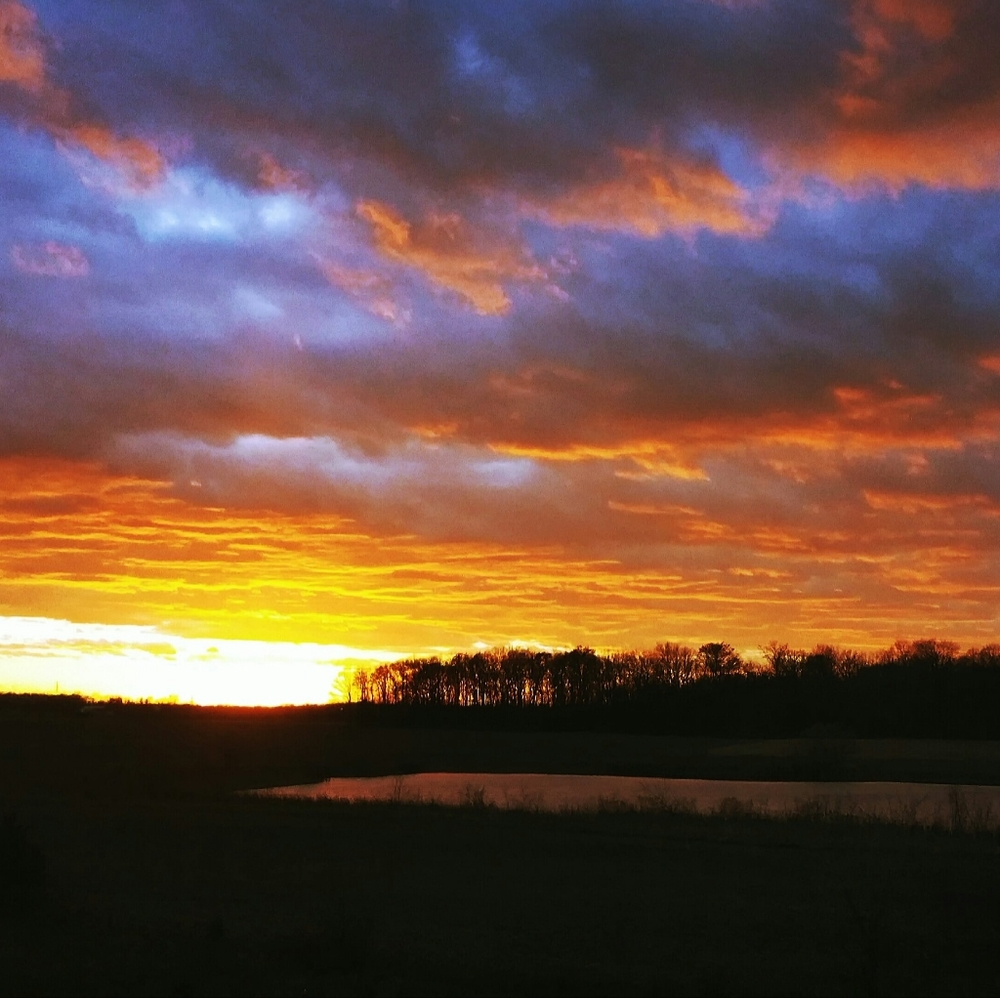 Meet your Posher, Valerie